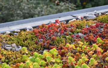 the cost of Pembury green roof installation