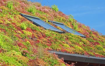Pembury living roof systems