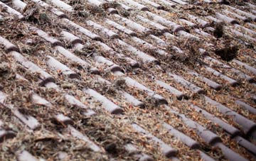 Pembury roof cleaning companies